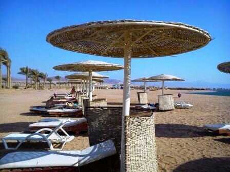 Отель Albatros Palace Resort 5*