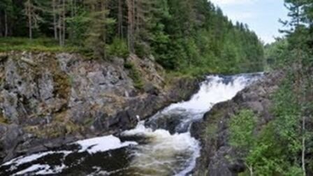 Водопады Кивач и экскурсия в заповедник